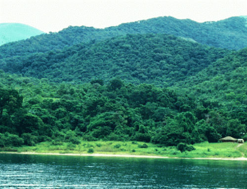 Gombe National Park